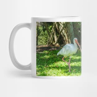 Walking American Ibis Mug